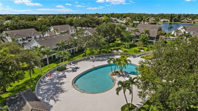 1010 Partridge Cir Unit 202, Naples, FL 34104 - view of swimming pool with a residential view