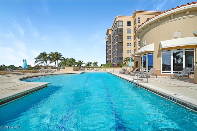 view of swimming pool featuring a patio