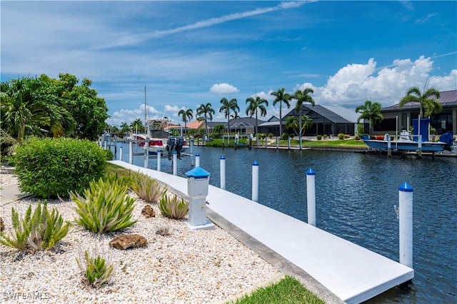 dock area with a water view