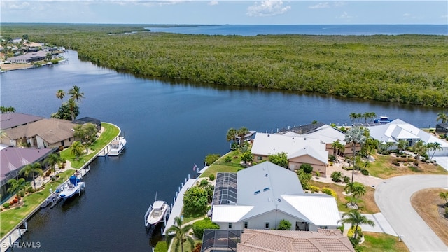 bird's eye view with a water view