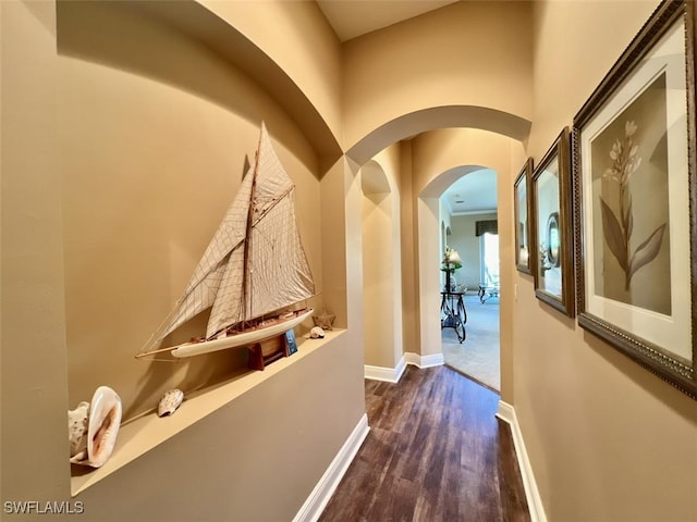 corridor with dark hardwood / wood-style floors