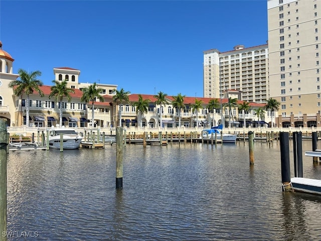 property view of water with a dock