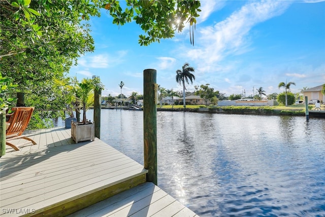 dock area featuring a water view