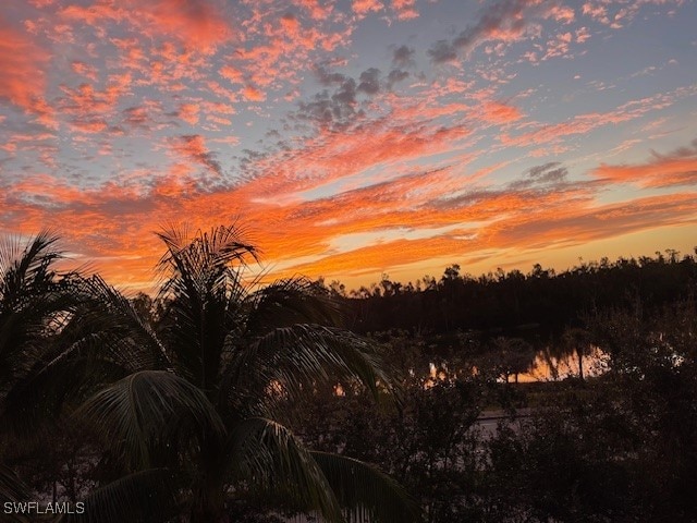 nature at dusk with a water view