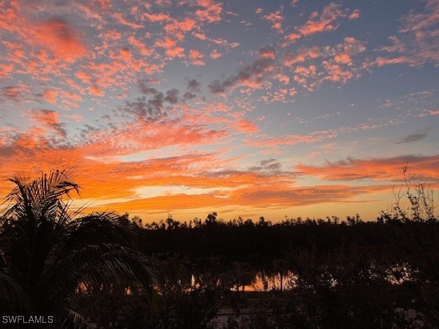 view of nature at dusk