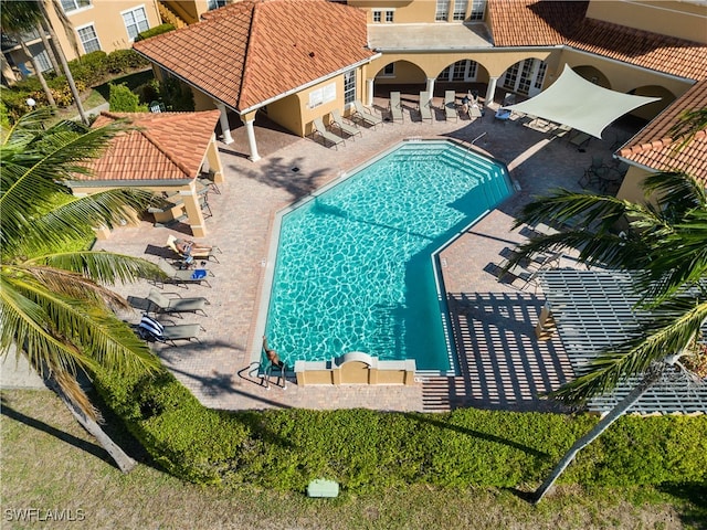 view of pool featuring a patio