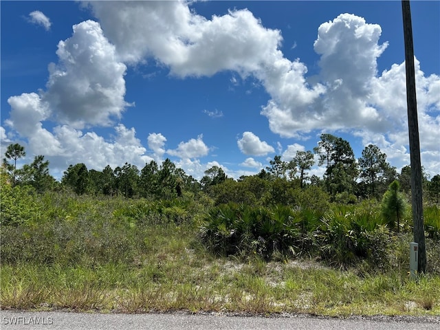 Listing photo 2 for 1218 Congress Ave, Lehigh Acres FL 33972