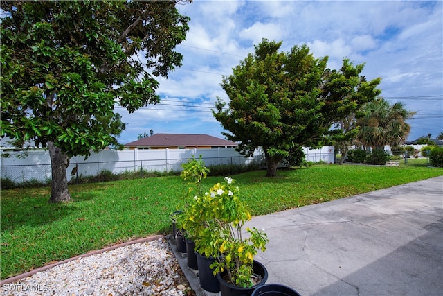 view of yard featuring a patio