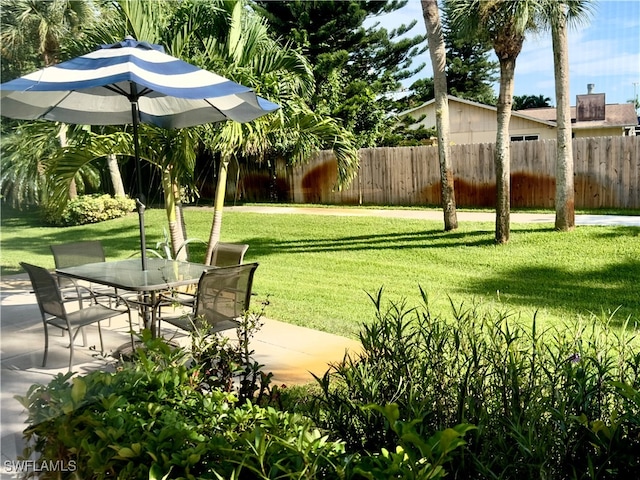 view of yard featuring a patio