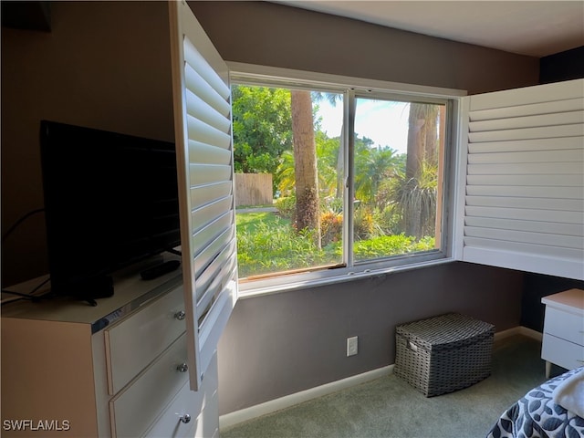 interior space featuring light carpet and multiple windows