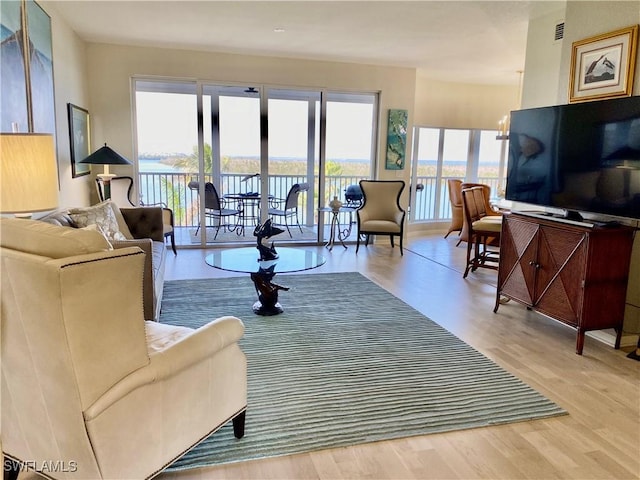 living room featuring light hardwood / wood-style floors