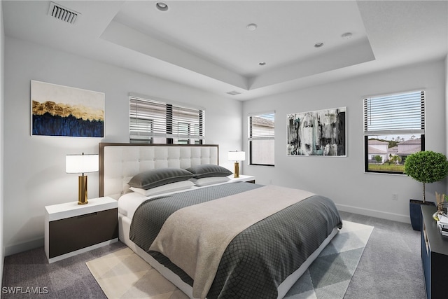 carpeted bedroom featuring a tray ceiling and multiple windows