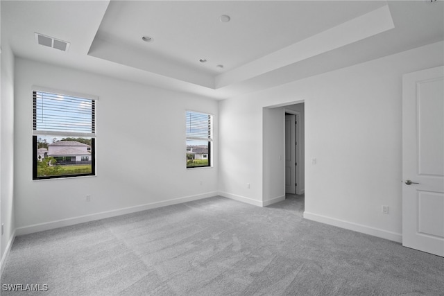 unfurnished room with a tray ceiling, a wealth of natural light, and light carpet