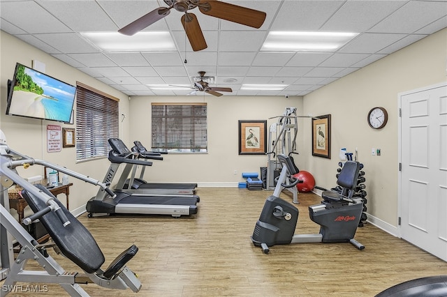 gym with a paneled ceiling, ceiling fan, and light hardwood / wood-style floors