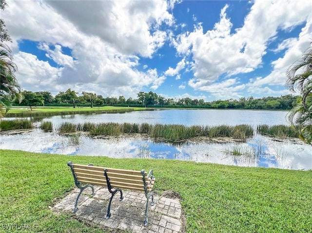 property view of water