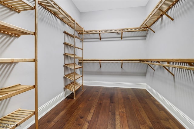 spacious closet featuring dark wood-type flooring