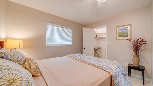 bedroom featuring ceiling fan, a closet, and a walk in closet