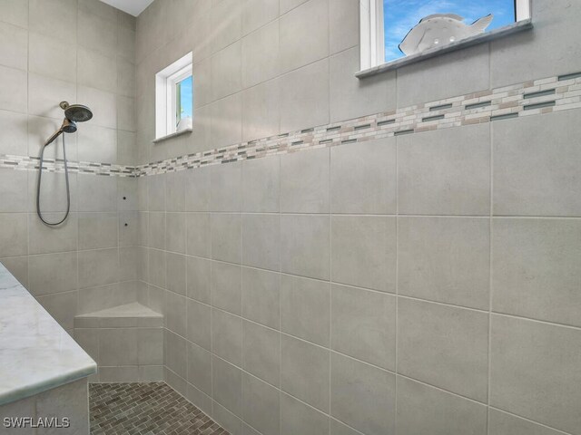 14748 Windward Ln, Naples, FL 34114 - bathroom with a tile shower