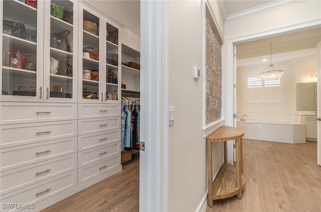 spacious closet featuring light hardwood / wood-style floors