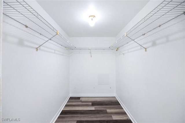 walk in closet featuring dark hardwood / wood-style flooring