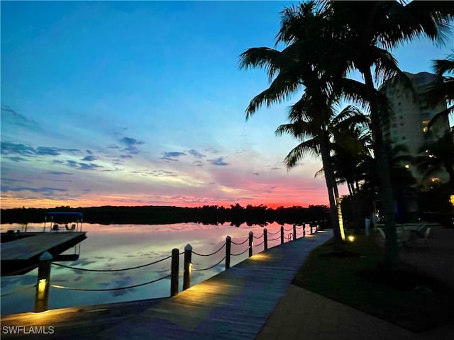 dock area with a water view