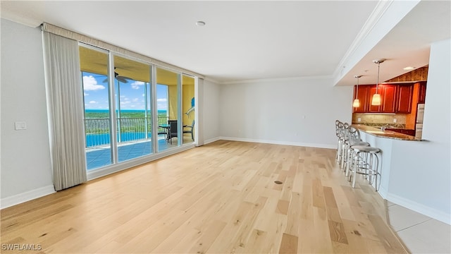 unfurnished living room featuring light hardwood / wood-style floors and crown molding