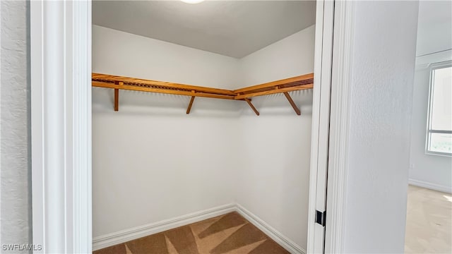 spacious closet featuring light carpet