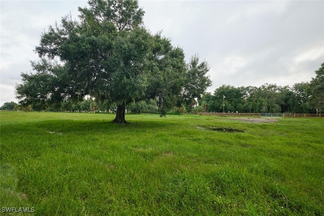 view of yard featuring a rural view