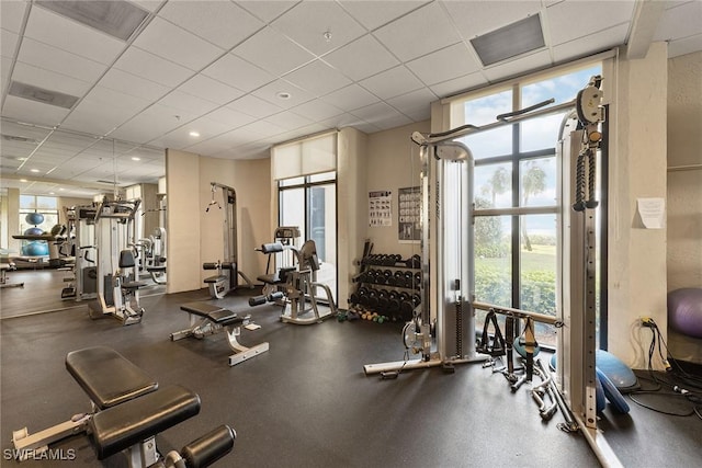 workout area featuring a paneled ceiling and floor to ceiling windows