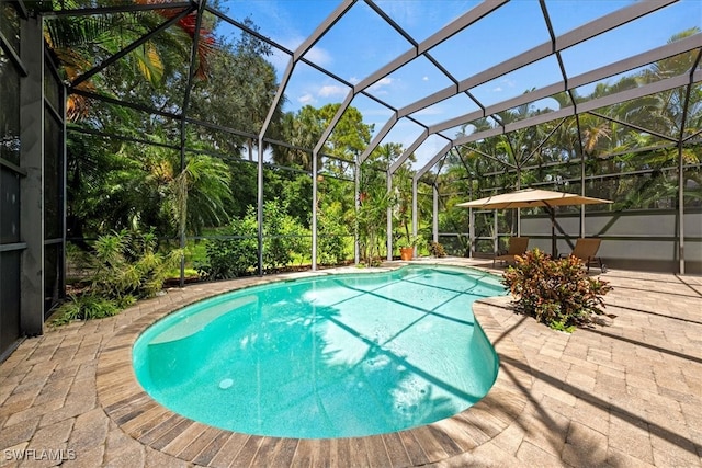 view of pool with a patio and glass enclosure