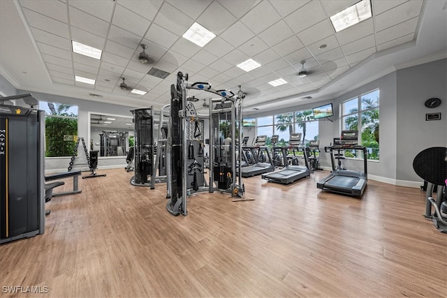 gym with crown molding, a paneled ceiling, and hardwood / wood-style floors