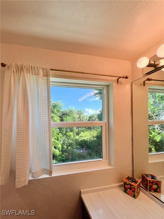 bathroom featuring a wealth of natural light