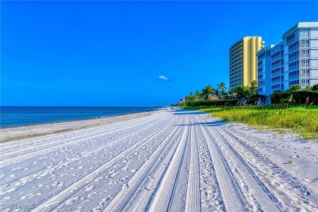 water view featuring a beach view