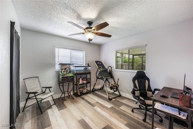 office space with light wood-type flooring, a textured ceiling, and ceiling fan