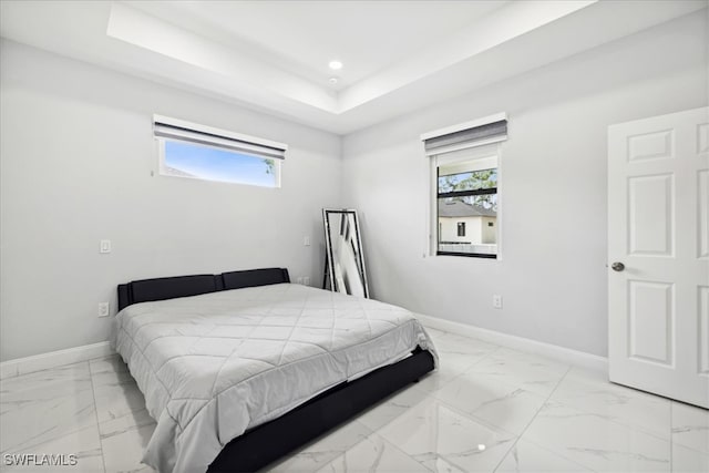 bedroom featuring multiple windows and a raised ceiling