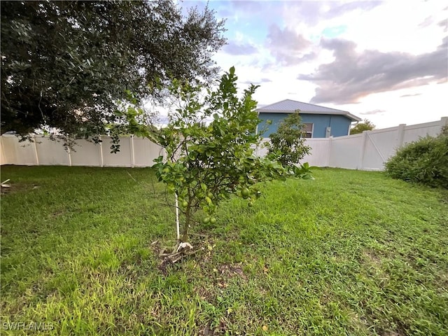 804 Yvonne Ave N, Lehigh Acres, FL 33971 - view of yard