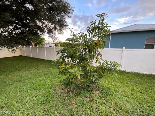 804 Yvonne Ave N, Lehigh Acres, FL 33971 - view of yard
