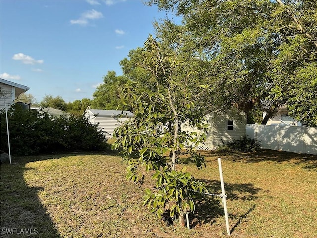 804 Yvonne Ave N, Lehigh Acres, FL 33971 - view of yard
