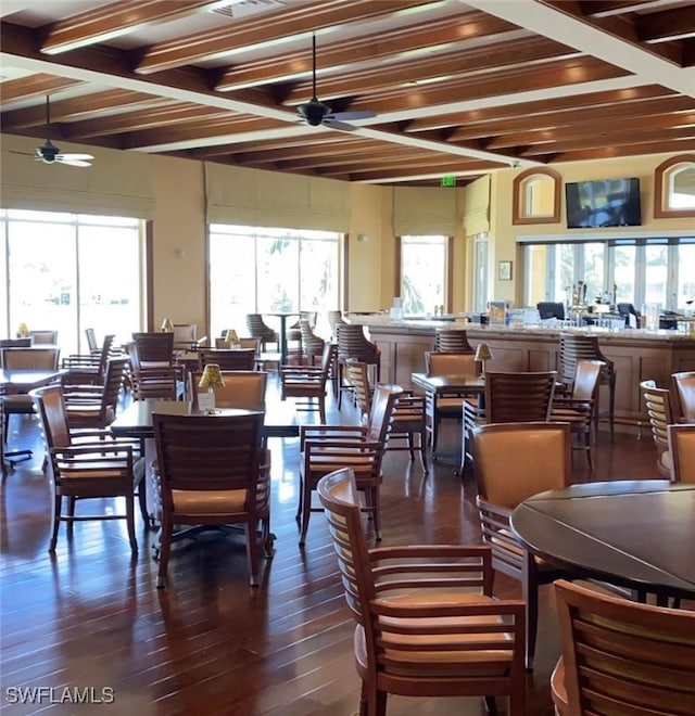 dining space featuring ceiling fan, dark hardwood / wood-style floors, and beamed ceiling