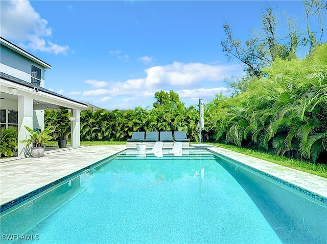 view of swimming pool featuring a patio