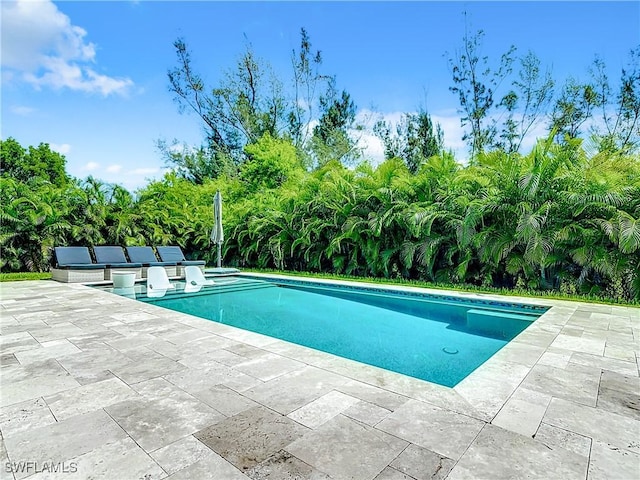 view of swimming pool with a patio area