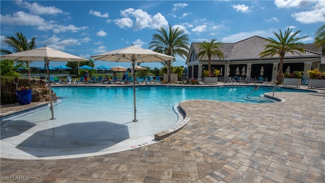 view of swimming pool featuring a patio area