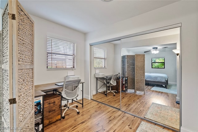 office area featuring ceiling fan and light hardwood / wood-style flooring