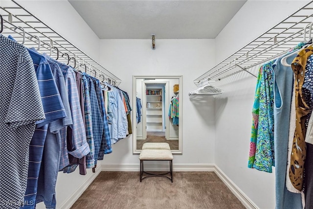 spacious closet featuring carpet