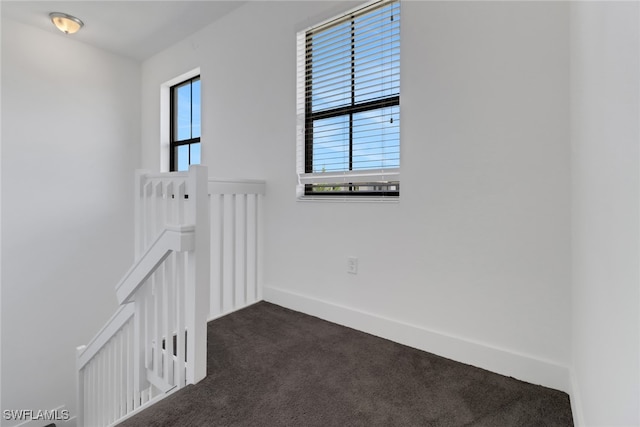 empty room featuring plenty of natural light and carpet flooring