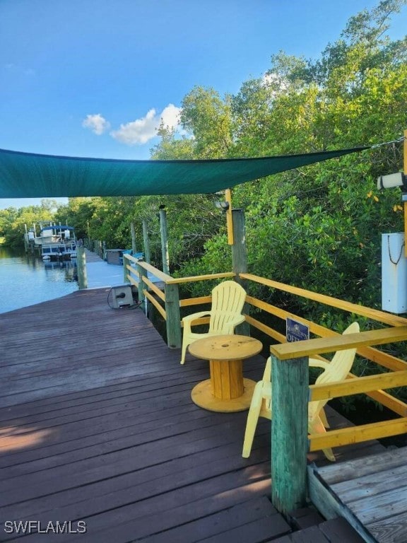 dock area with a water view