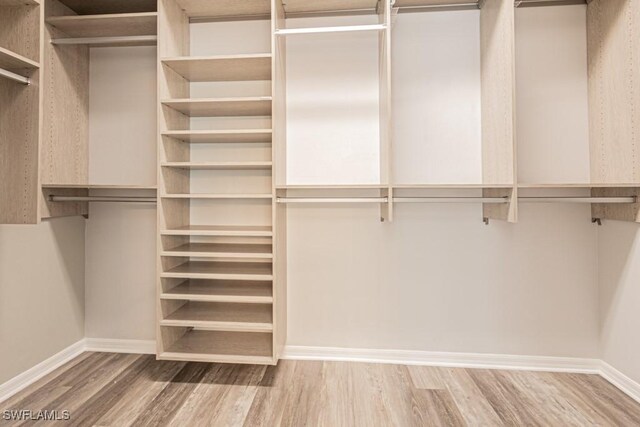 spacious closet featuring wood-type flooring