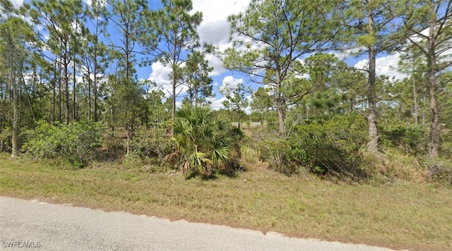 1151 Briarcliffe St, Fort Myers FL, 33913 land for sale