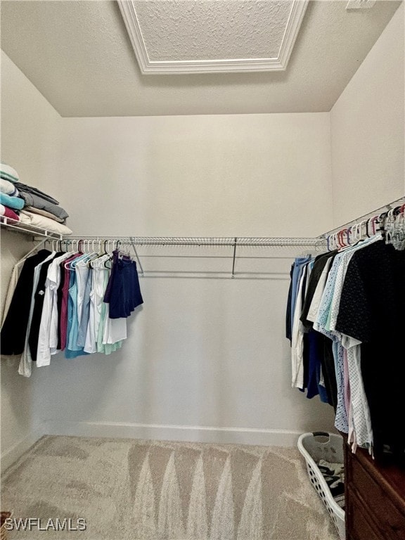 spacious closet with carpet