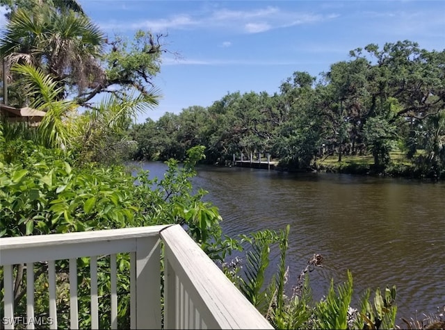 property view of water